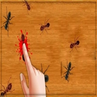 蚂蚁要不要把它杀死 蚂蚁生命谁都可以剥夺吗