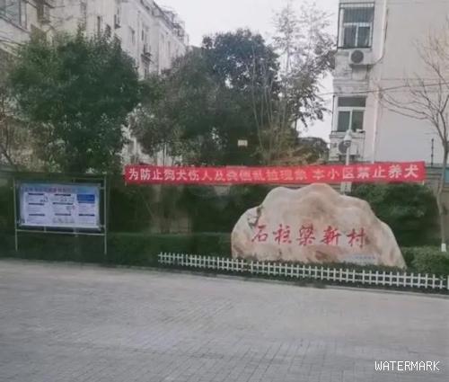郑州一社区全面禁止养狗：30号之前不把狗狗送走，就会有人上门处理
