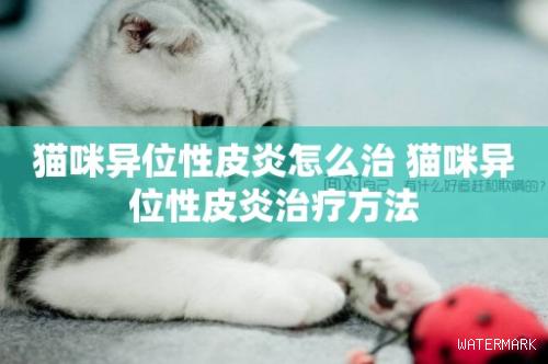 猫咪异位性皮炎怎么治 猫咪异位性皮炎治疗方法