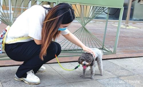 宠物狗在南昌万达金街“宋医生宠物医院”洗个澡竟偏瘫了