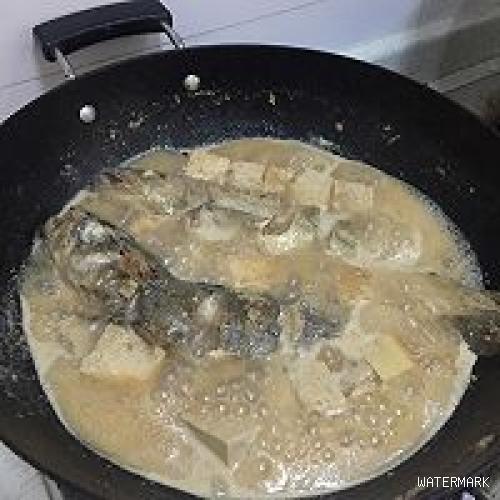 鳕鱼（大头腥）炖冻豆腐