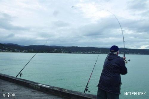 澳大利亚小镇的垂钓老人 自律的钓鱼生活