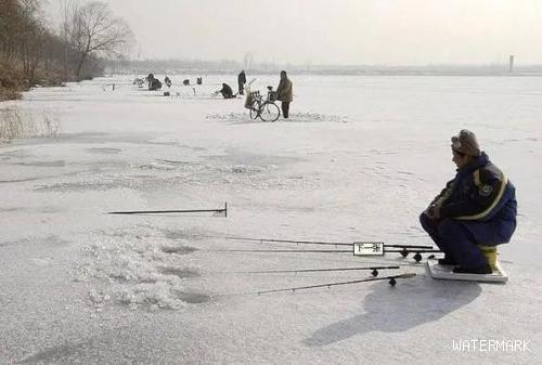 下雪到底能不能钓鱼，要看是雪前、雪中、还是雪后