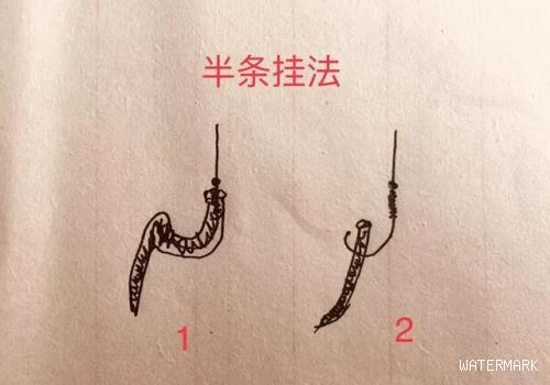 最常见的三种蚯蚓挂钩法，实践检验第三种上鱼效果就是好
