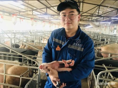 天汉大讲堂 | 种猪繁育与饲养管理