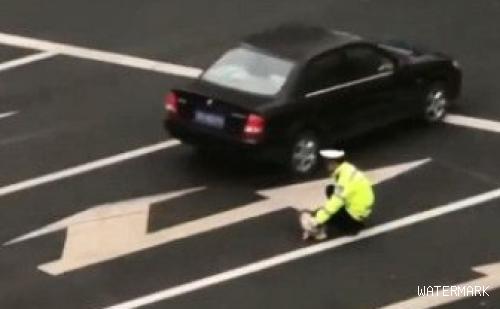 流浪狗误闯马路被撞伤 最暖警察肉身阻挡车流