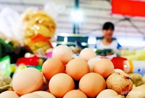 今日猪价毛猪价8月25，鸡蛋、猪价格下跌,是何缘故导致?