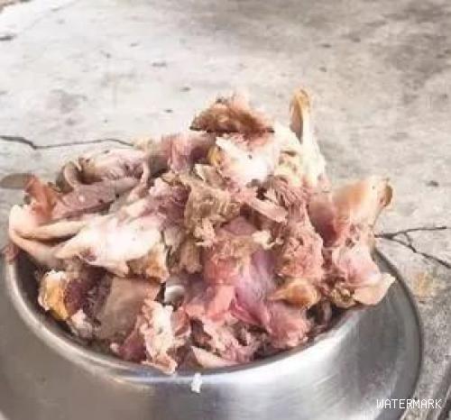 阿嬷原本只给骨骼黑狗吃，如今碗里的肉满到即将外溢来！
