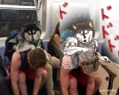 国外网友带狗子上地铁，结果又被画成肌肉壮汉了