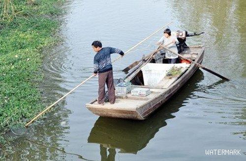 九龙江北溪频现渔船拉网电鱼 执法遇尴尬只能靠喊话