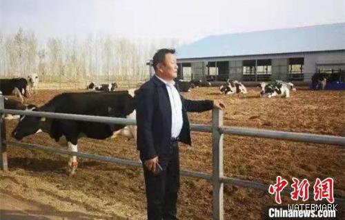 “牛专家”带活牛产业 内蒙古养牛人过上“牛”日子