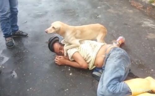 铲屎官喝的烂醉大街上倒头就睡，民警上前叫醒，却遭到狗狗阻挠！