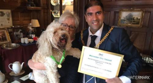 狗狗8年捡了5000件垃圾 获得市长亲自颁奖