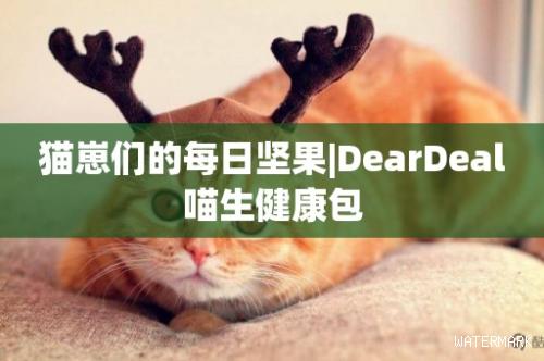 猫崽们的每日坚果|DearDeal喵生健康包