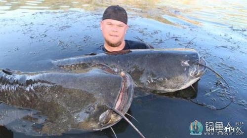 德国男子20分钟捕获2条体长超2米巨大鲶鱼