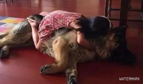 等待屠宰的大狼狗 被她从死亡边缘给救了回来