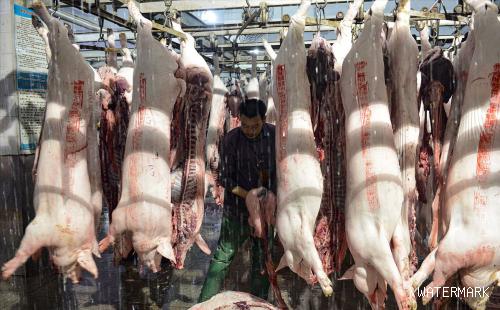 猪价涨幅超53%，川渝猪价成“洼地”，猪肉和白条价格倒挂！什么-