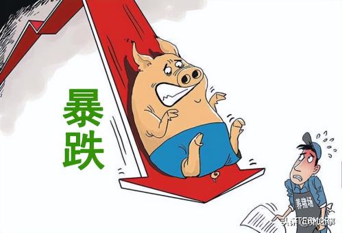 变脸！猪价上涨再度搁浅，77%省市猪价下跌，啥情况？附15日猪价