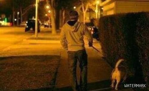 为何很多国人半夜才遛狗？并且见老人就跑，还不愿和陌生狗玩？