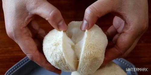 白玉菌菇怎样适合老人吃,所有菌菇的家常做法