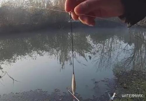 四种钓鱼看漂技巧