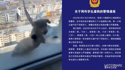 4名孩子捡到小狗，竟吊着脖子将其从高楼扔下，警方通报处罚