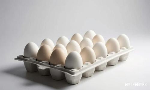 带你了解关于鸡蛋的小知识英语,关于鸡蛋的小知识你都get了吗