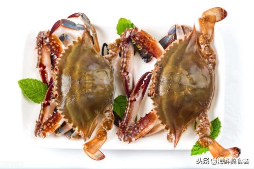 全球常见的螃蟹大全，你认识几种，帝王蟹和皇帝蟹真的不一样
