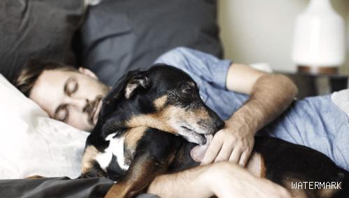 女子爱狗如命，每天抱着狗一起睡觉，一个月后住院了