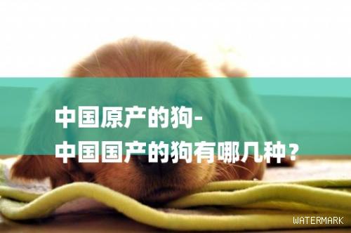中国原产的狗-中国国产的狗有哪几种？