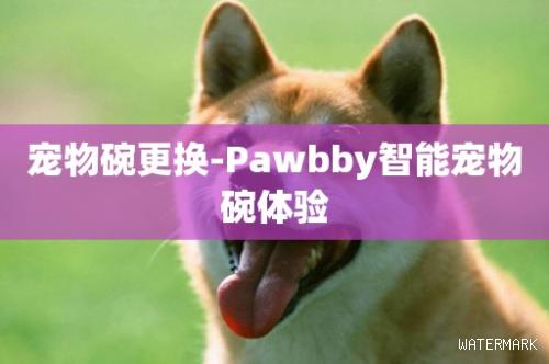 宠物碗更换-Pawbby智能宠物碗体验