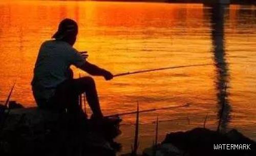 夏季钓鱼调漂的5个实战技巧