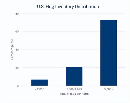 美国养猪效率(美国最大的养猪企业)