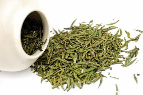 黄金芽属于什么茶，属于绿茶类(具有多重功效)