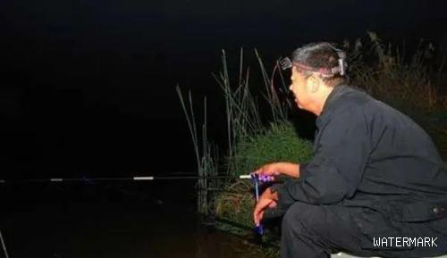夜晚鱼类进食与白天的行为差异及钓鱼技巧调整