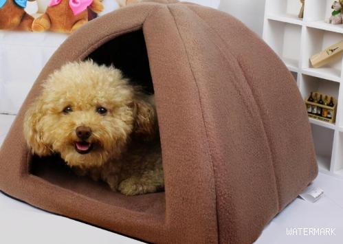 为何冬季了狗狗或是喜爱睡木地板？