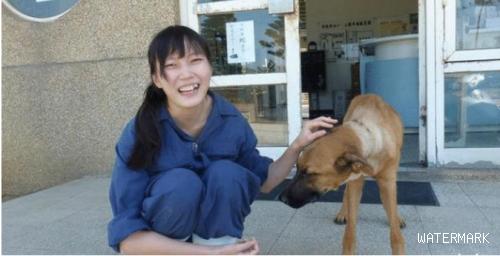 5年前，台湾女孩给几千只狗狗安乐死后，为何把最后一针给自己？